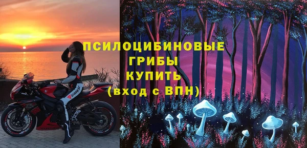 меф Арсеньев