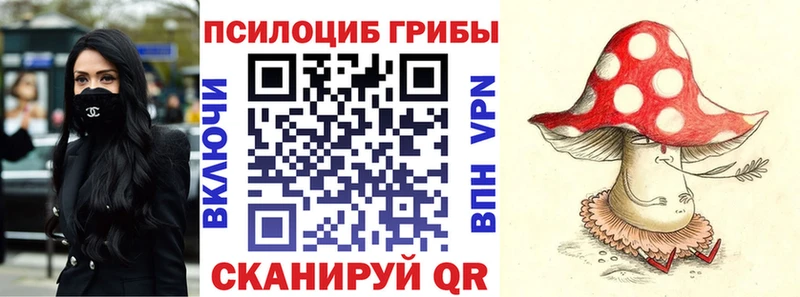 Купить  Вилюйск  Галлюциногенные грибы мухоморы 